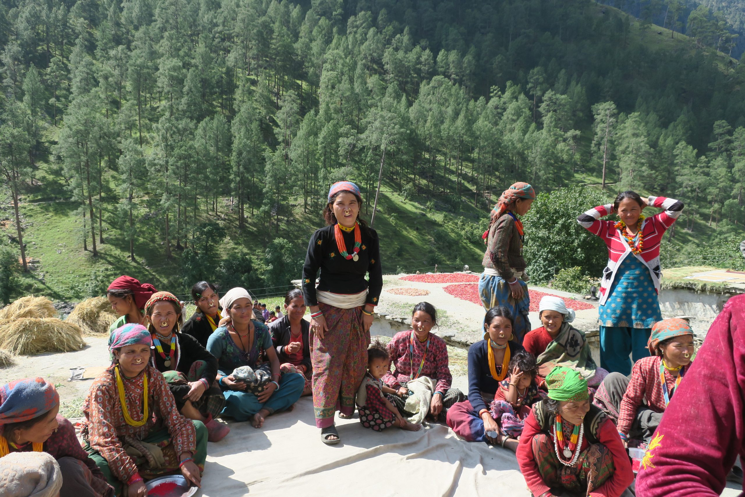 विकास आयोजनाको प्रगति समीक्षा